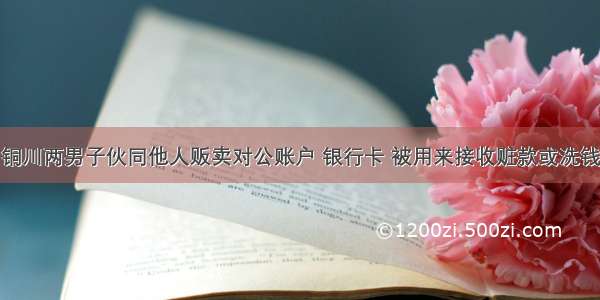 铜川两男子伙同他人贩卖对公账户 银行卡 被用来接收赃款或洗钱