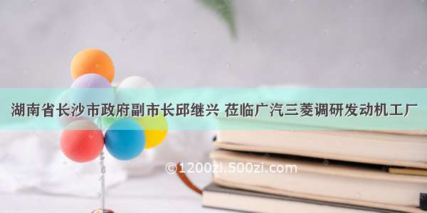 湖南省长沙市政府副市长邱继兴 莅临广汽三菱调研发动机工厂