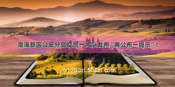 渤海新区公安分局交警一大队发布“两公布一提示”！