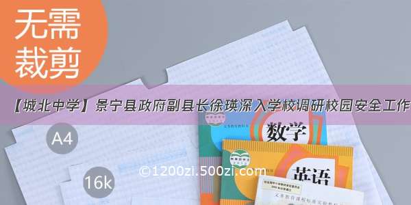 【城北中学】景宁县政府副县长徐瑛深入学校调研校园安全工作