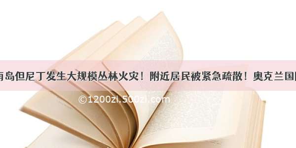 山火爆发！南岛但尼丁发生大规模丛林火灾！附近居民被紧急疏散！奥克兰国际机场今天中