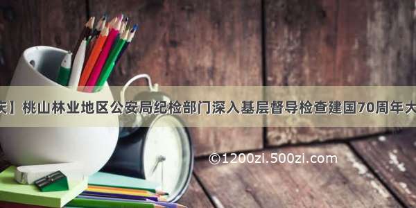 【忠诚保大庆】桃山林业地区公安局纪检部门深入基层督导检查建国70周年大庆安保维稳工