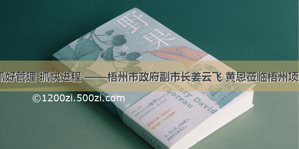 抓实施工 抓好管理 抓快进程 ——梧州市政府副市长姜云飞 黄恩莅临梧州项目考察调研