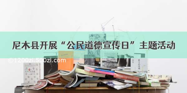 尼木县开展“公民道德宣传日”主题活动