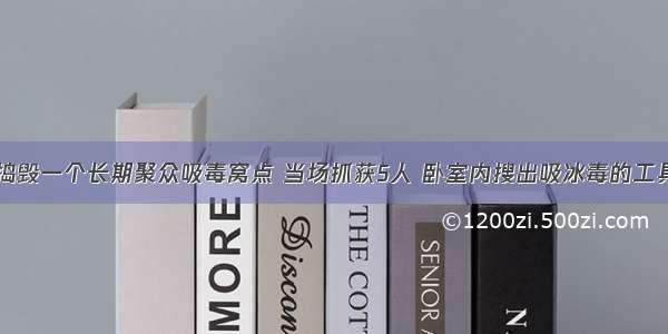 警方捣毁一个长期聚众吸毒窝点 当场抓获5人 卧室内搜出吸冰毒的工具……