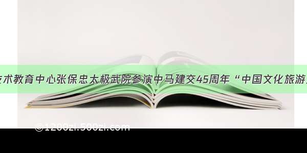 温县职业技术教育中心张保忠太极武院参演中马建交45周年“中国文化旅游之夜”活动