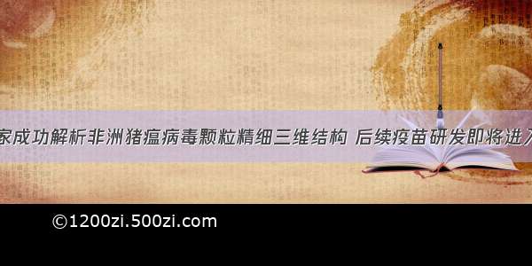 中国科学家成功解析非洲猪瘟病毒颗粒精细三维结构 后续疫苗研发即将进入临床试验