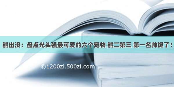 熊出没：盘点光头强最可爱的六个宠物 熊二第三 第一名帅爆了！