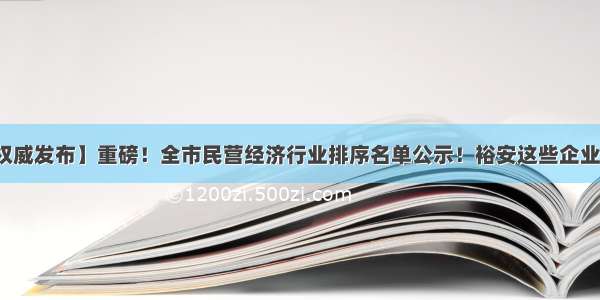 【权威发布】重磅！全市民营经济行业排序名单公示！裕安这些企业上榜