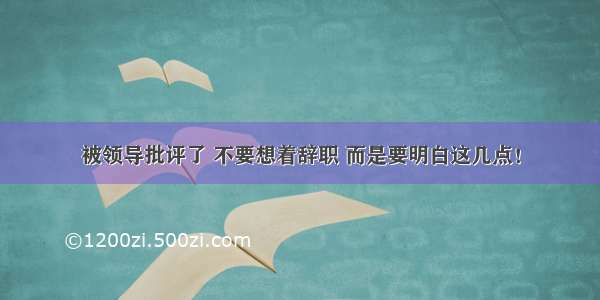 被领导批评了 不要想着辞职 而是要明白这几点！