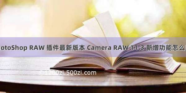 PhotoShop RAW 插件最新版本 Camera RAW 11.3 新增功能怎么用？