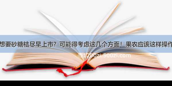 想要砂糖桔尽早上市？可能得考虑这几个方面！果农应该这样操作