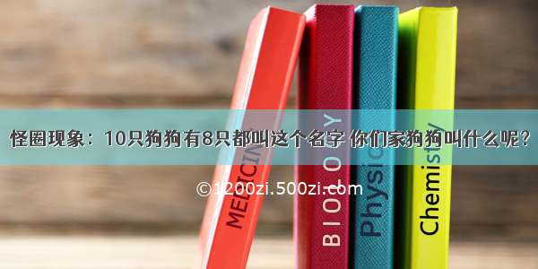 怪圈现象：10只狗狗有8只都叫这个名字 你们家狗狗叫什么呢？