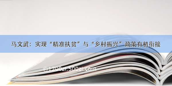 马文武：实现“精准扶贫”与“乡村振兴”政策有机衔接