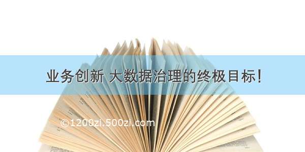 业务创新 大数据治理的终极目标！