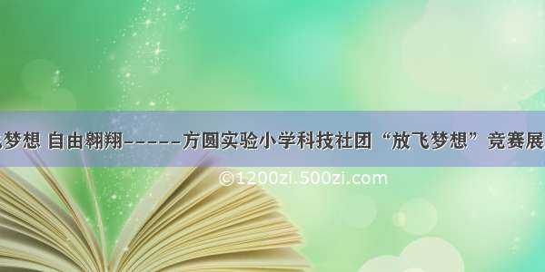 放飞梦想 自由翱翔-----方圆实验小学科技社团“放飞梦想”竞赛展风采