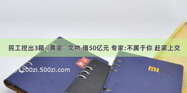 民工挖出3箱“黄金”文物 值50亿元 专家:不属于你 赶紧上交