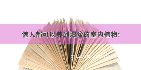 懒人都可以养到爆盆的室内植物！