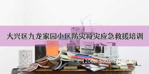 大兴区九龙家园小区防灾减灾应急救援培训