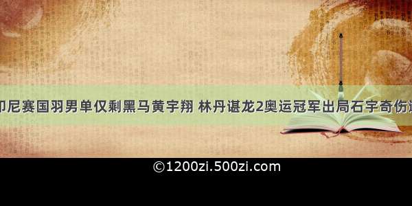 印尼赛国羽男单仅剩黑马黄宇翔 林丹谌龙2奥运冠军出局石宇奇伤退