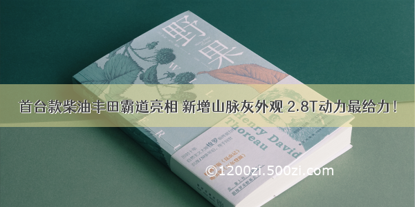 首台款柴油丰田霸道亮相 新增山脉灰外观 2.8T动力最给力！