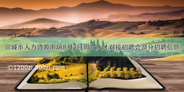 宣城市人力资源市场8月3日周六人才对接招聘会部分招聘信息