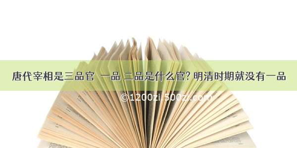 唐代宰相是三品官  一品 二品是什么官? 明清时期就没有一品