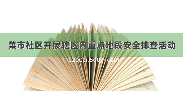 菜市社区开展辖区内重点地段安全排查活动