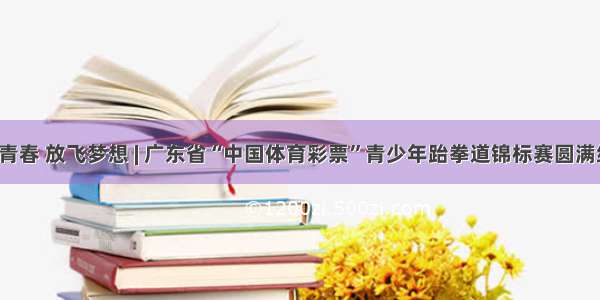 激扬青春 放飞梦想 | 广东省“中国体育彩票”青少年跆拳道锦标赛圆满结束！