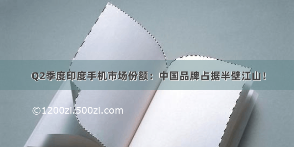  Q2季度印度手机市场份额：中国品牌占据半壁江山！