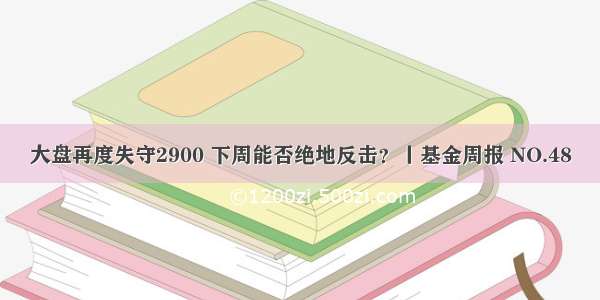 大盘再度失守2900 下周能否绝地反击？丨基金周报 NO.48