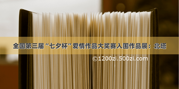 全国第三届“七夕杯”爱情作品大奖赛入围作品展：北塔