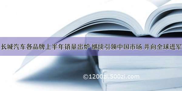 长城汽车各品牌上半年销量出炉 继续引领中国市场 并向全球进军