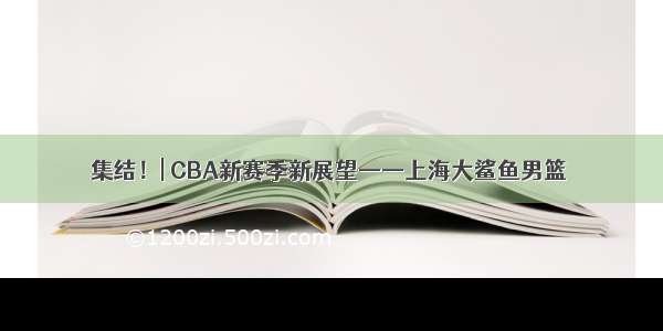 集结！| CBA新赛季新展望——上海大鲨鱼男篮
