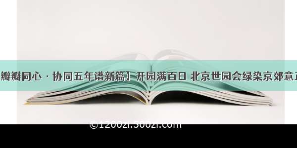 【瓣瓣同心·协同五年谱新篇】开园满百日 北京世园会绿染京郊意正浓