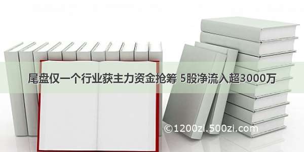 尾盘仅一个行业获主力资金抢筹 5股净流入超3000万