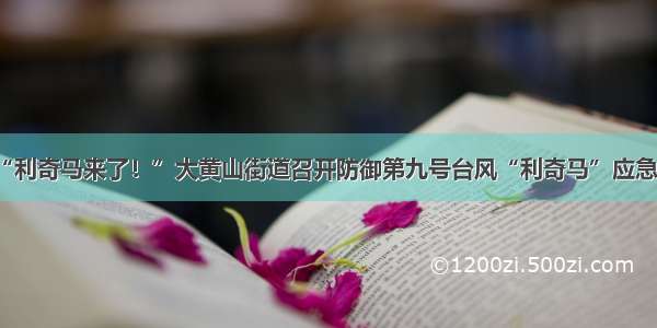 【提醒！】“利奇马来了！”大黄山街道召开防御第九号台风“利奇马”应急处置工作会议