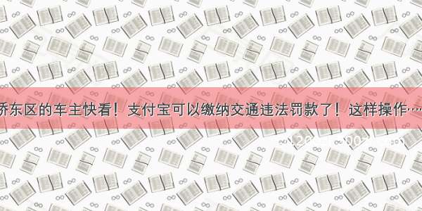 桥东区的车主快看！支付宝可以缴纳交通违法罚款了！这样操作……