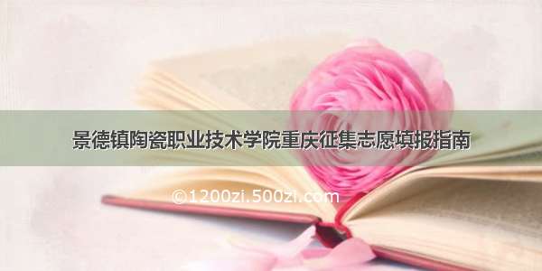 景德镇陶瓷职业技术学院重庆征集志愿填报指南