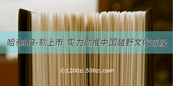 哈弗H9-款上市 实力助推中国越野文化普及