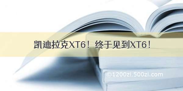 凯迪拉克XT6！终于见到XT6！