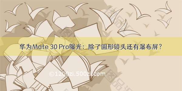 华为Mate 30 Pro曝光：除了圆形镜头还有瀑布屏？