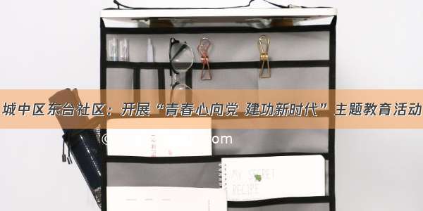 城中区东台社区：开展“青春心向党 建功新时代”主题教育活动