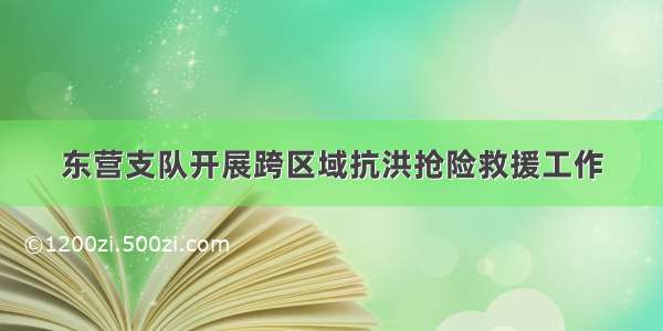 东营支队开展跨区域抗洪抢险救援工作