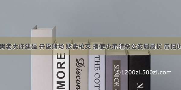 广东江阳黑老大许建强 开设赌场 贩卖枪支 指使小弟暗杀公安局局长 曾把仇家眼睛挖