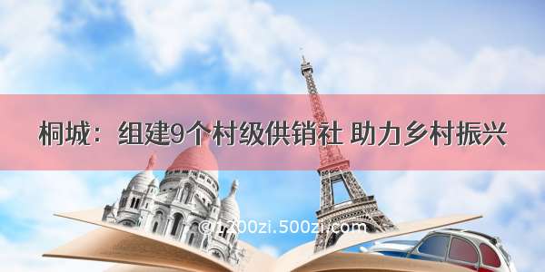 桐城：组建9个村级供销社 助力乡村振兴