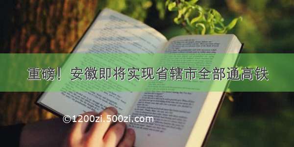 重磅！安徽即将实现省辖市全部通高铁