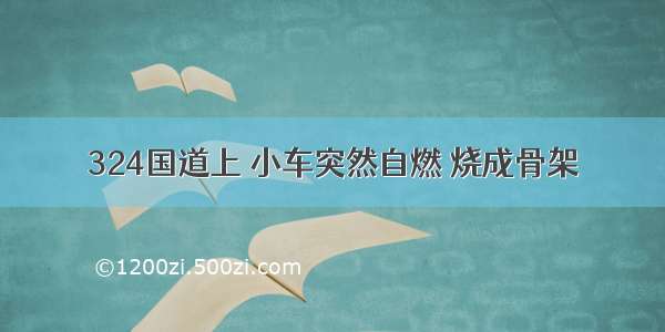 324国道上 小车突然自燃 烧成骨架