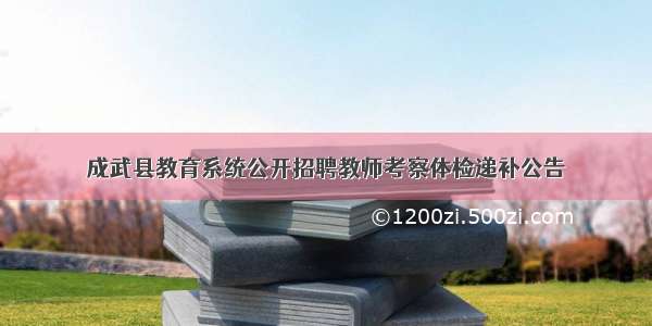 成武县教育系统公开招聘教师考察体检递补公告