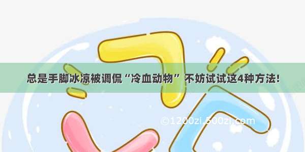 总是手脚冰凉被调侃“冷血动物” 不妨试试这4种方法!